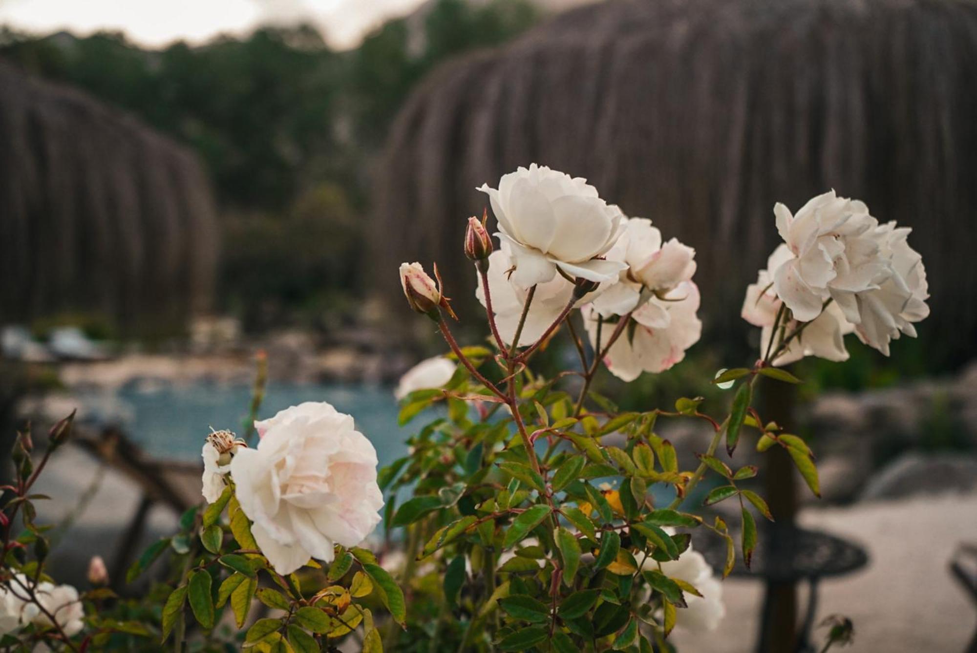 Hotel Refugio